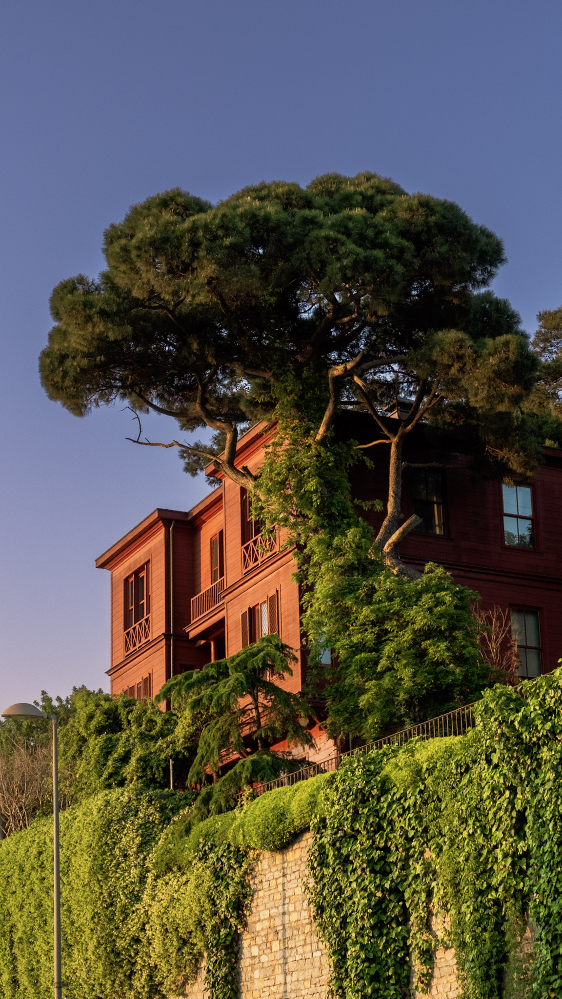 Fotoğraf çalışması